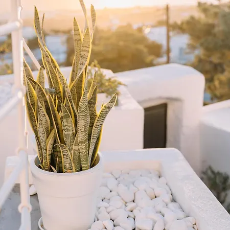 Noir Cave With Private Jacuzzi And Sunset Terrace *