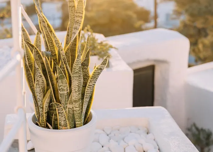 Noir Cave With Private Jacuzzi And Sunset Terrace *